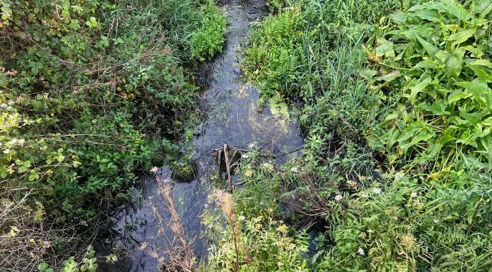 Environmental Inspection Of Overgrown Ennis River To Take Place This Month Following Flooding Complaints