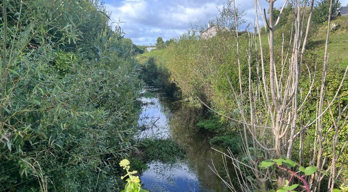 Ennis Residents Demanding Urgent Action On “Dead River”